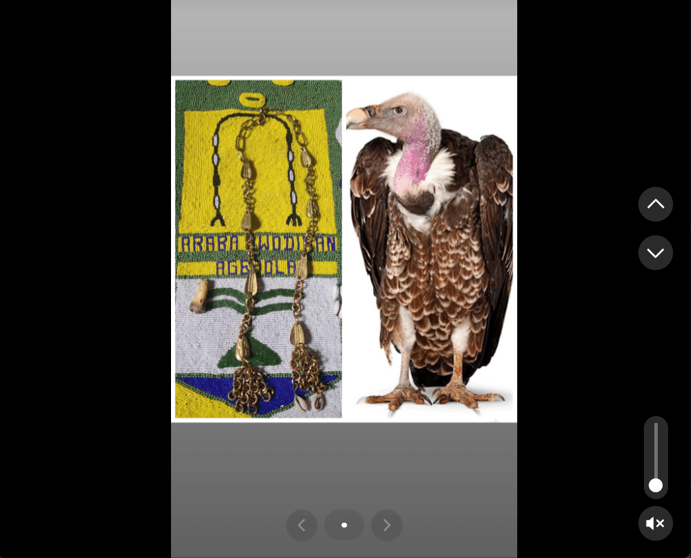 ©kominifa.com | Watch on Tik Tok