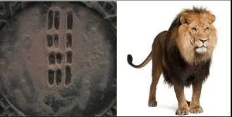 ©kominifa.com | Watch on Tik Tok