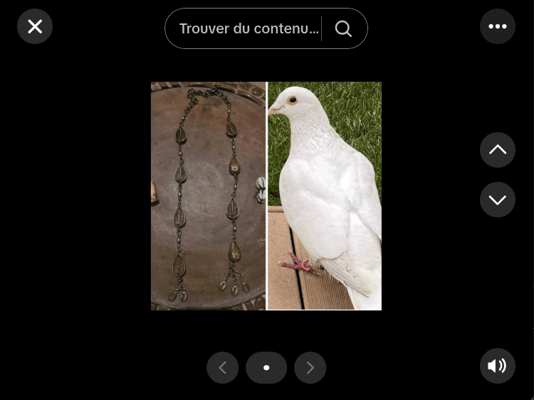 ©kominifa.com | Watch on Tik Tok