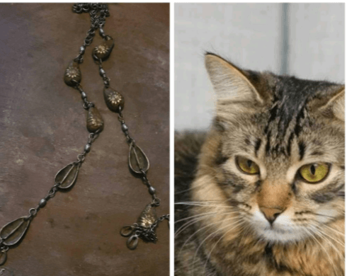 ©kominifa.com | Watch on Tik tok