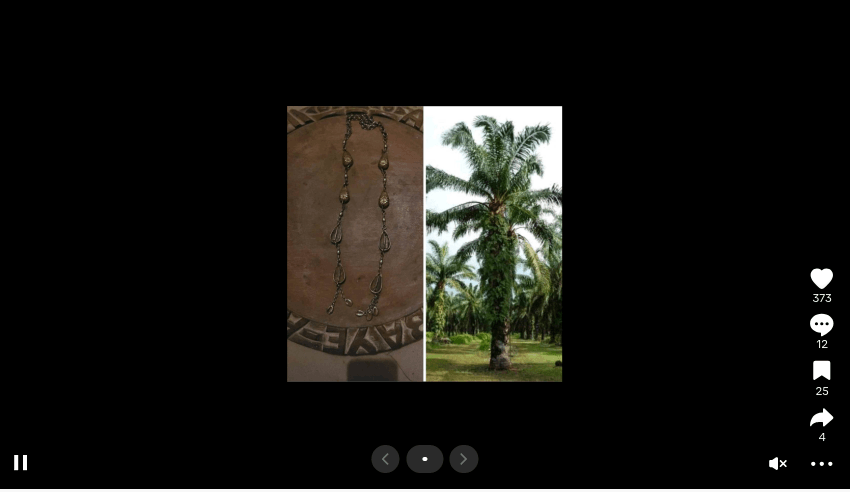 ©kominifa.com | Watch on Tik Tok